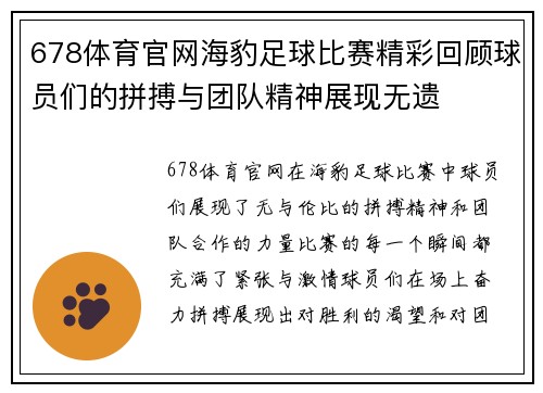 678体育官网海豹足球比赛精彩回顾球员们的拼搏与团队精神展现无遗